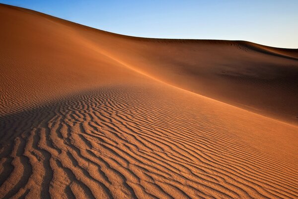 Sand dune in the desert at dawn