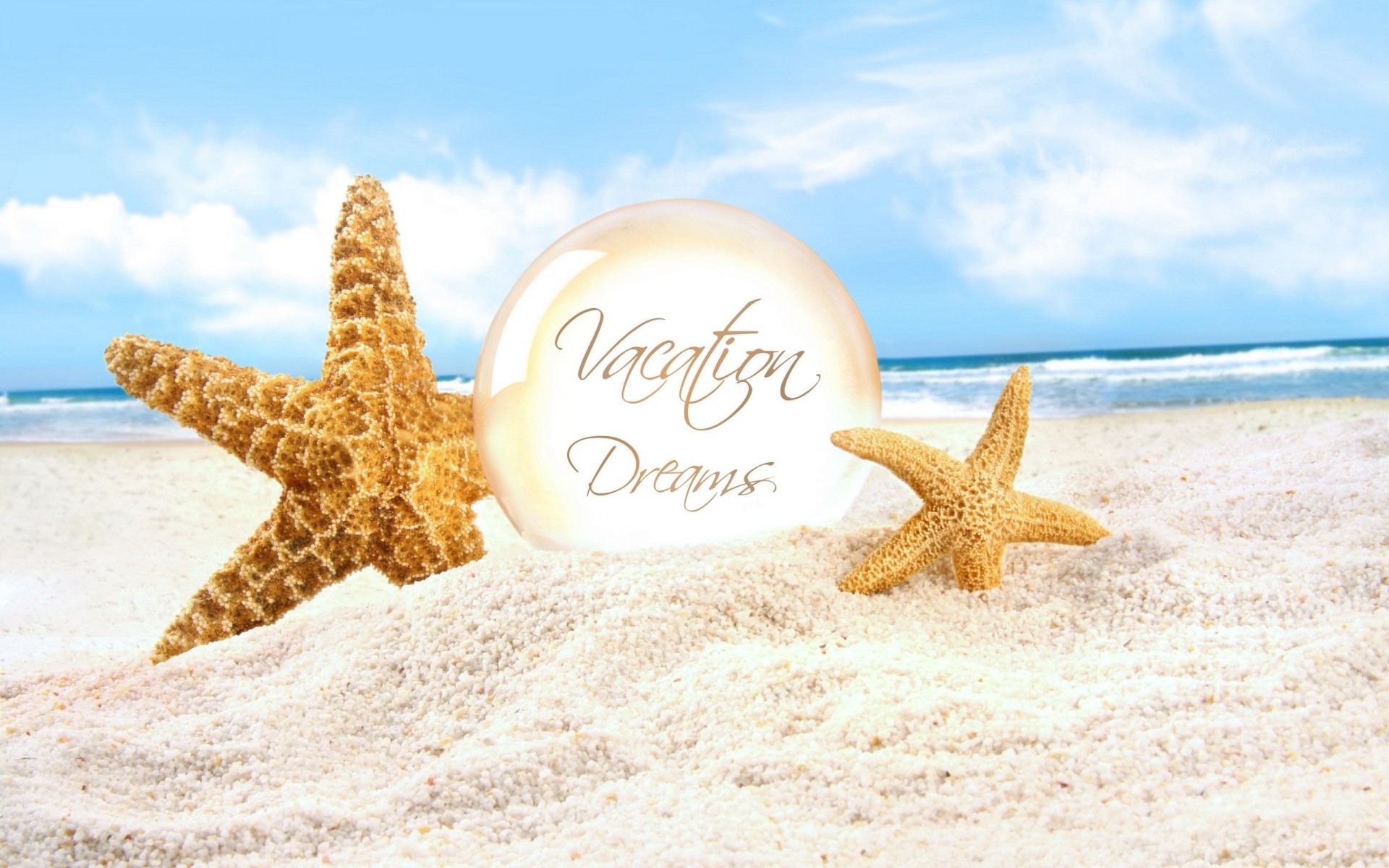 estate stelle marine sabbia spiaggia conchiglie mare mare echinodermi conchiglia vacanza tropicale conch oceano natura relax viaggi costa acqua costa mare