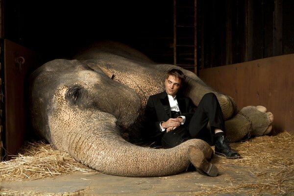 Robert pattison in the barn with an elephant