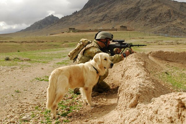 A special forces soldier with a rifle and a dog in a shelter