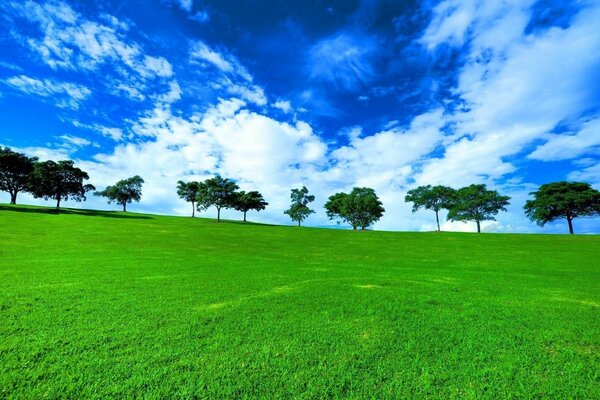 Paisaje de hierba contra un cielo nublado azul