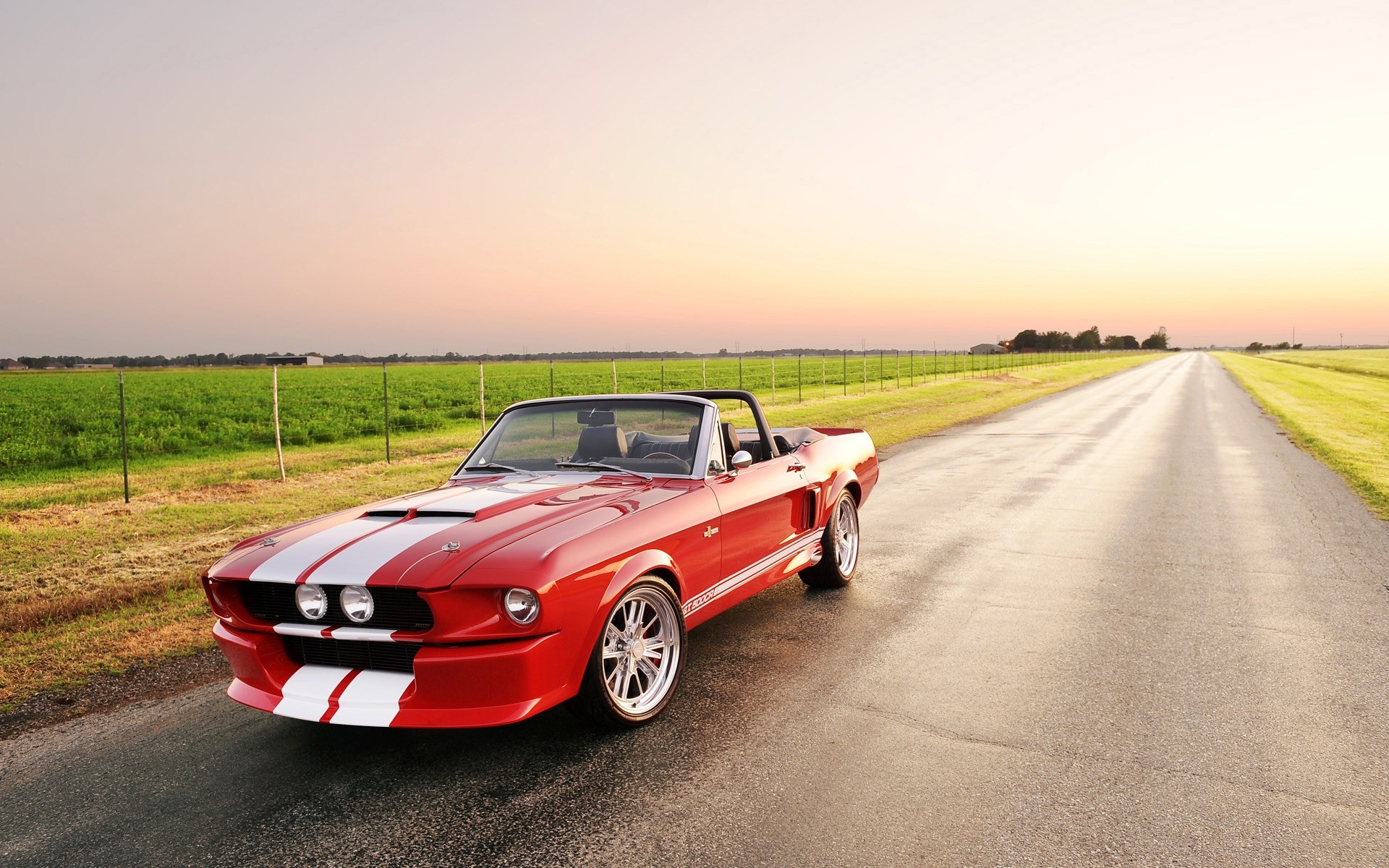 ford coche coche sistema de transporte asfalto unidad carretera rápido prisa ruedas negro automotriz shelby shelby gt