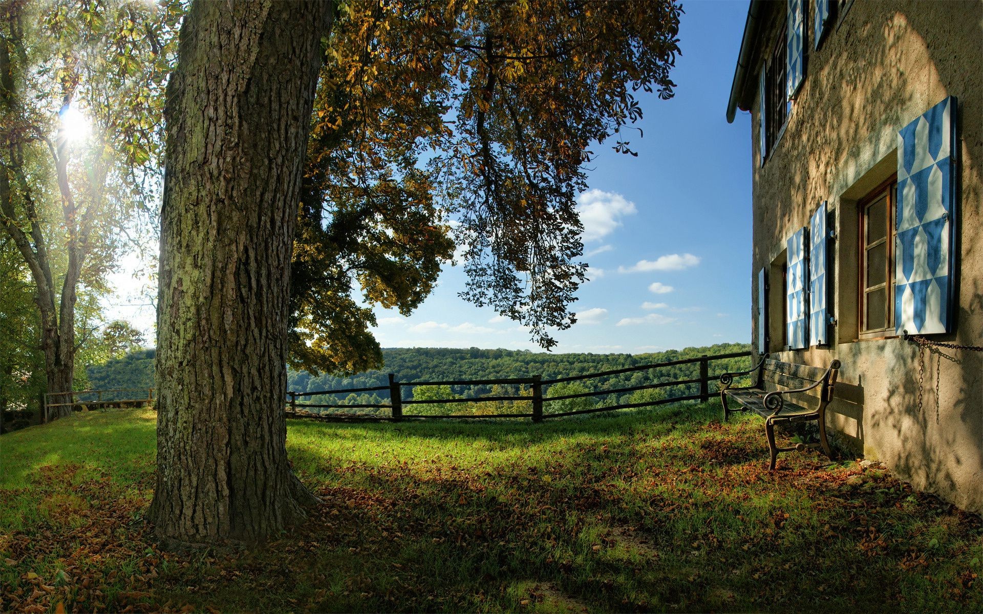 autumn tree wood outdoors nature landscape grass sky travel fall daylight summer leaf light