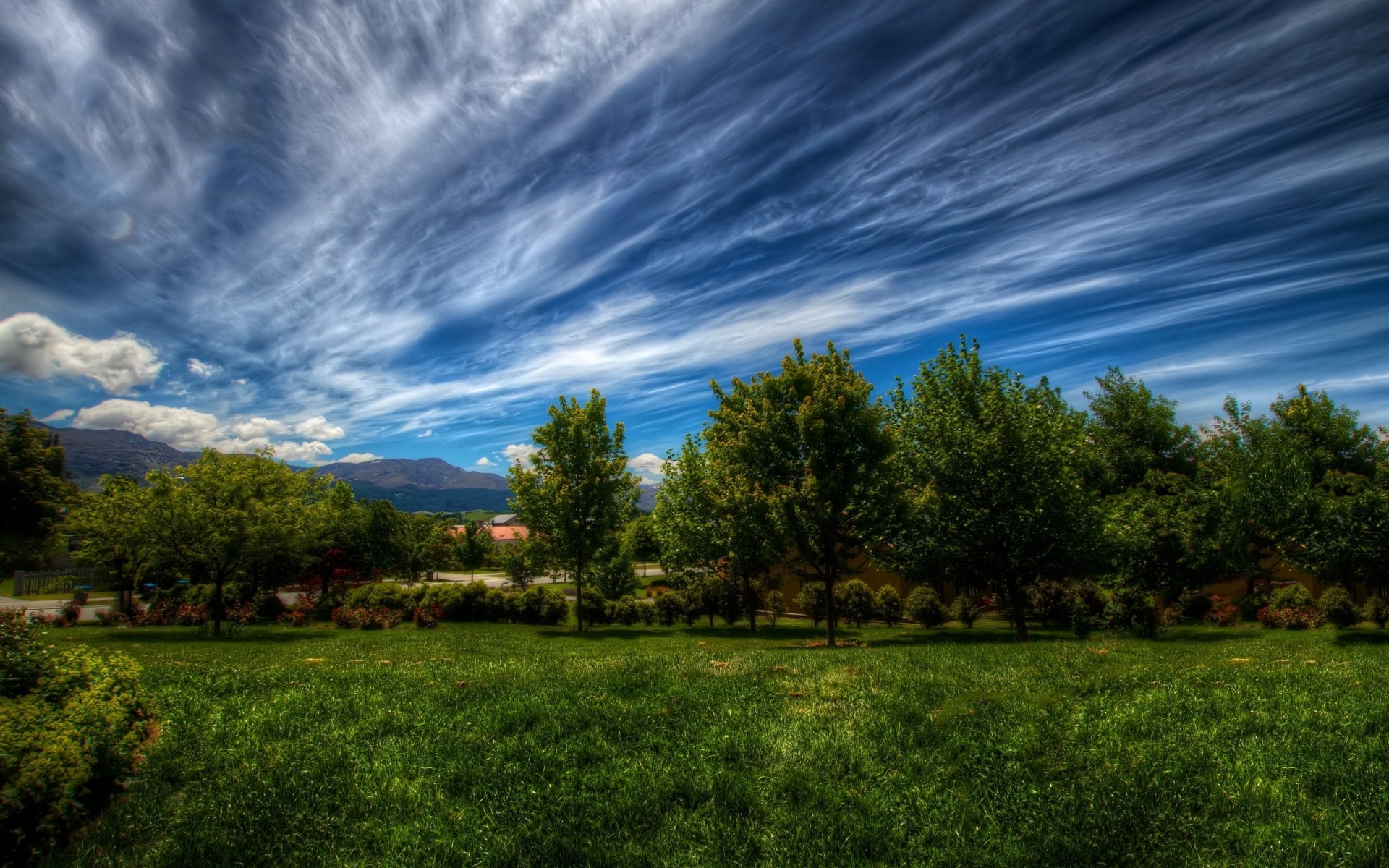 paesaggio natura paesaggio cielo erba rurale albero estate all aperto campagna bel tempo sole sfondo alberi drc foresta verde