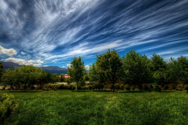 Eccellente paesaggio verde natura