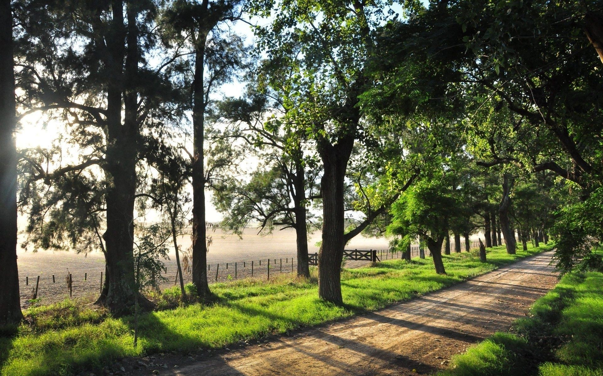 road tree landscape nature wood grass guidance park environment leaf flora outdoors footpath rural season summer fair weather scenic lush