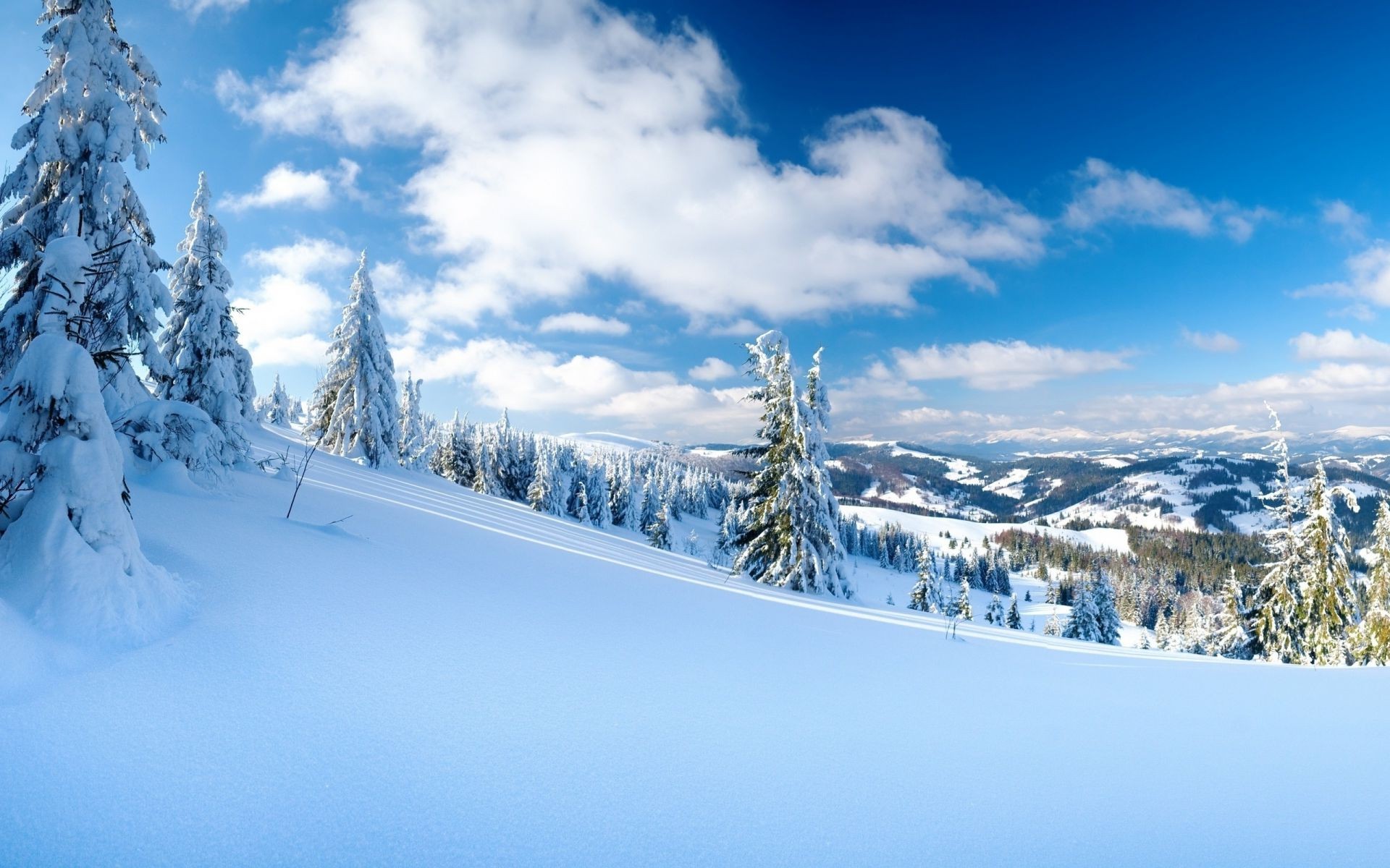 invierno nieve frío montaña madera escénico escarcha congelado paisaje hielo nieve temporada resort árbol polvo colina tiempo abeto pista buen tiempo