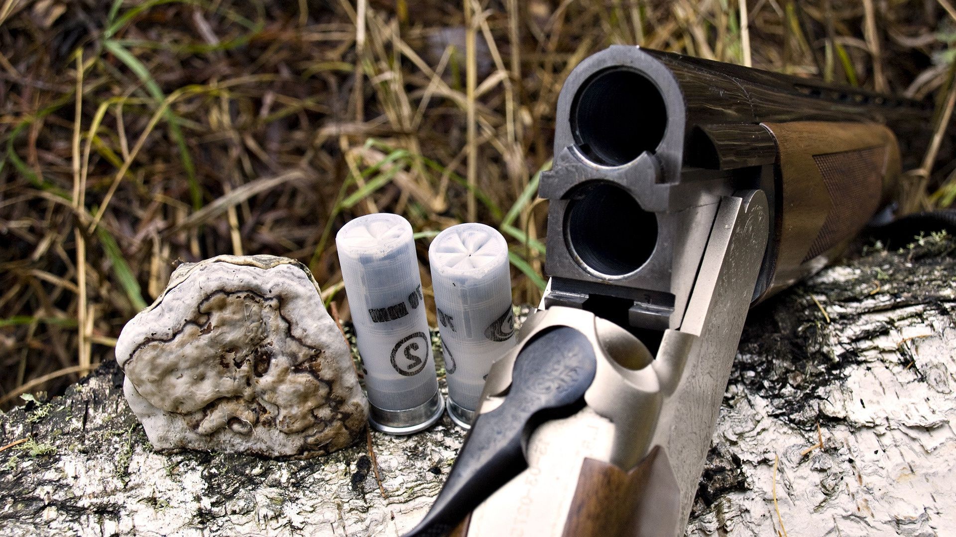 arma de fuego pistola peligro arma munición escopeta madera llama crimen guerra fuerza rifle naturaleza viejo protección pistola seguridad ejército seguridad equipo