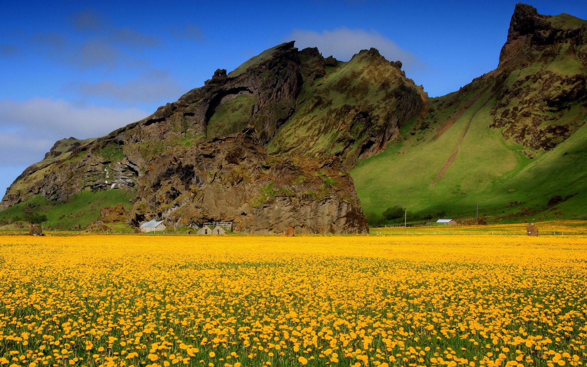 flowers landscape sky nature travel outdoors mountain summer scenic field grass agriculture tree hill flower sunset countryside wild flowers background mountains