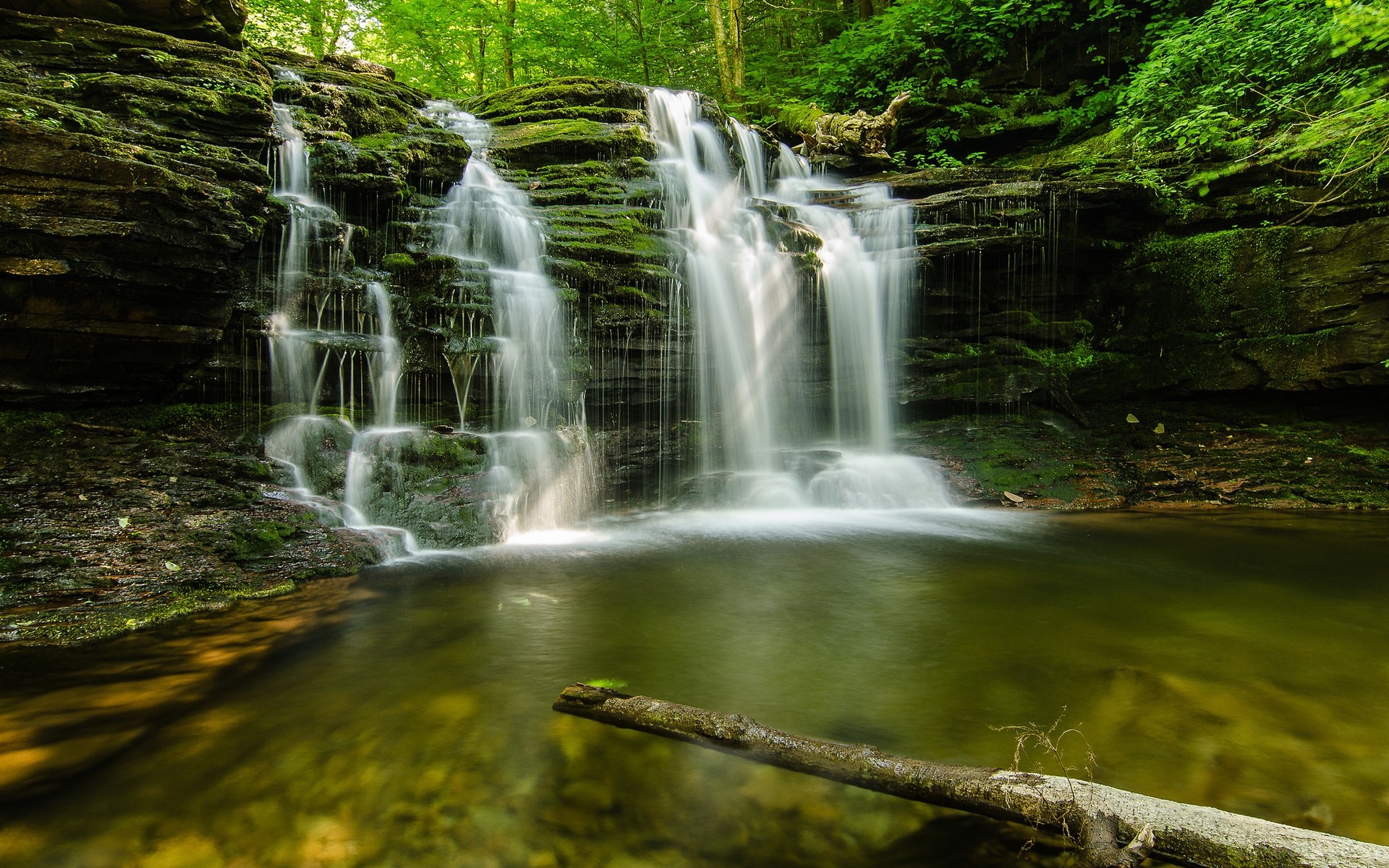 landscapes waterfall water nature stream river wood rock leaf fall cascade creek wet motion travel wild outdoors moss landscape flow background forest