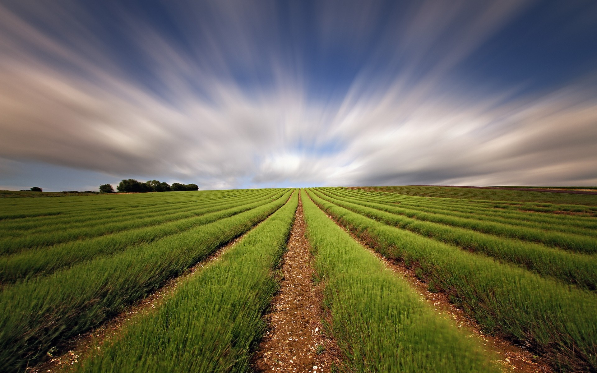 landscapes field rural agriculture pasture farm landscape nature countryside sky farmland grass cloud soil country sun summer growth fair weather clouds background