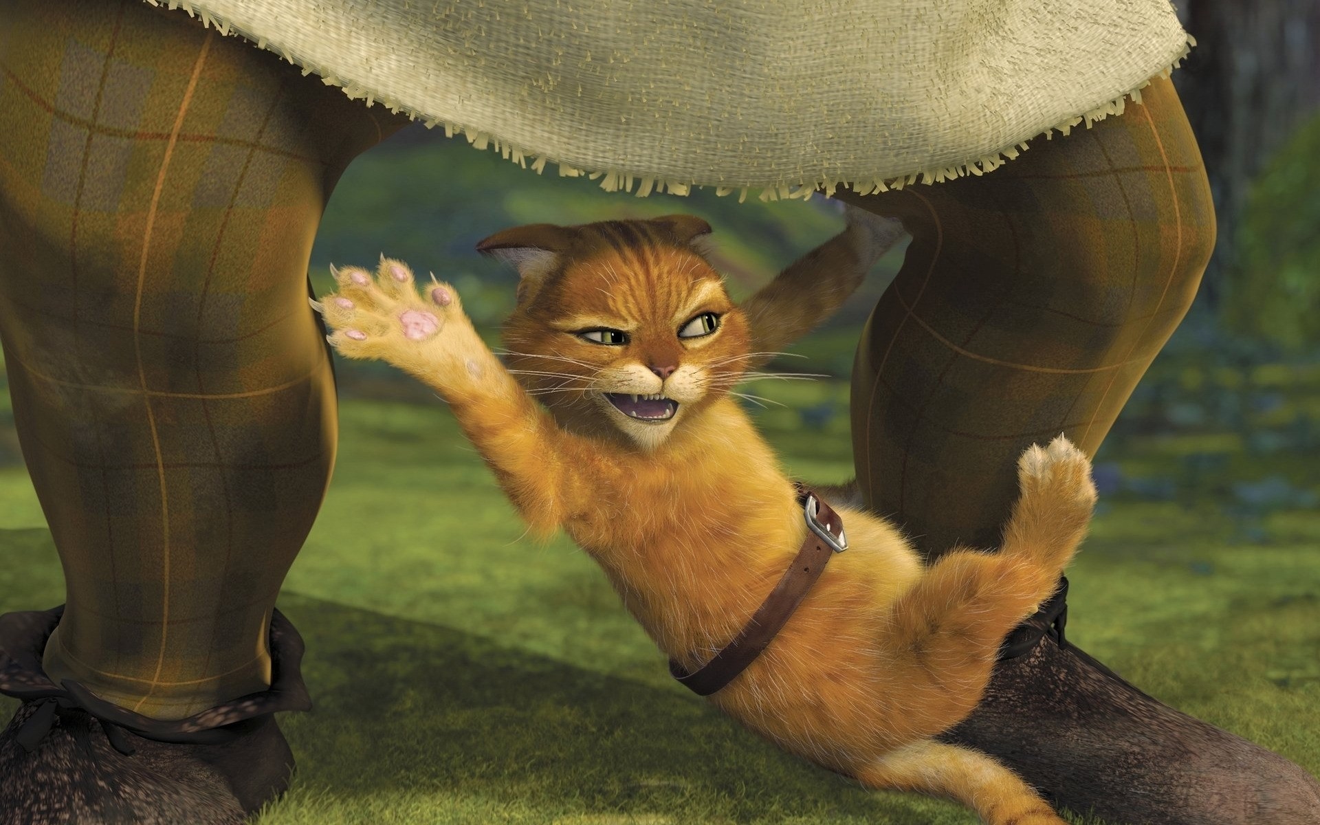 filmes mamífero sozinho retrato natureza animal gato animação comédia engraçado