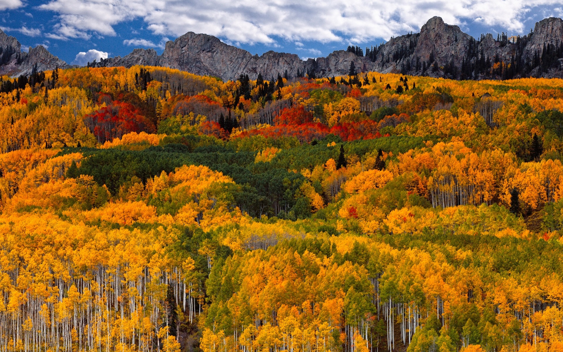 automne paysage automne nature scénique bois montagnes à l extérieur arbre sauvage feuille paysage lumière du jour fond montagnes