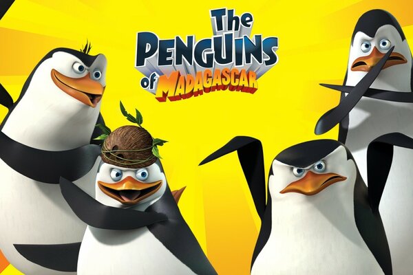 Quattro pinguini del Madagascar