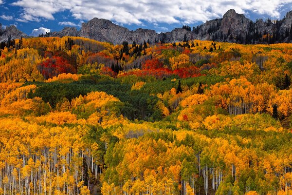 Beaux paysages d automne dans les montagnes