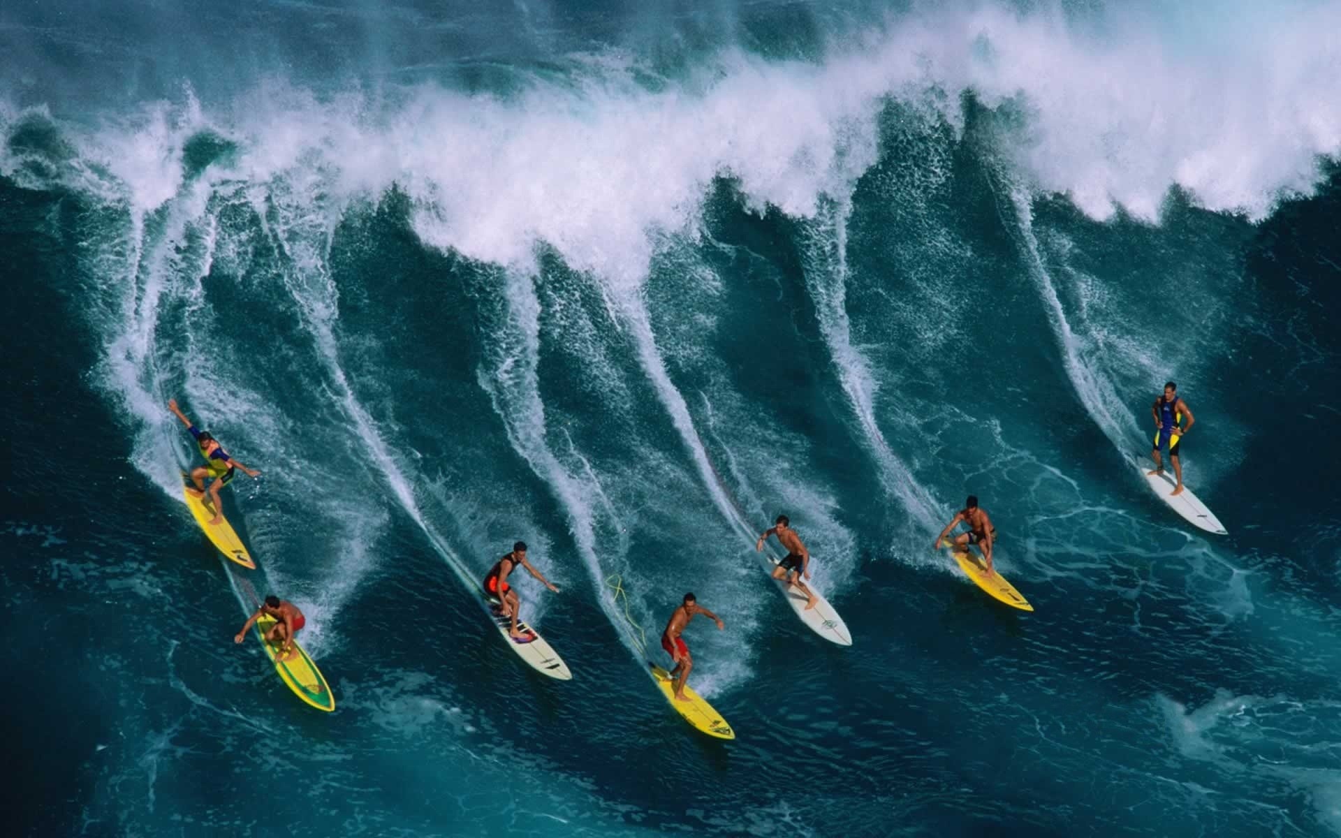 abstracción deportes acuáticos acción agua surf recreación océano excitación mar aventura recreación placer movimiento deportes ola chicos tiburones