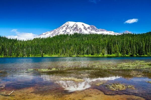 Montagna innevata nel cielo blu circondata dalla foresta verde con il lago