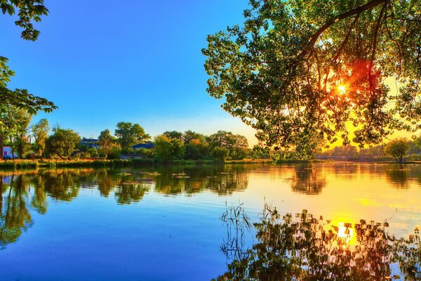 A água era tão pura que a árvore refletia completamente nela.