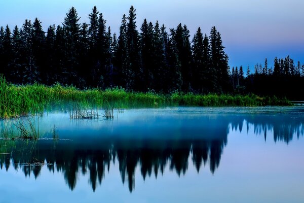 Schöne See Reflexion Landschaft