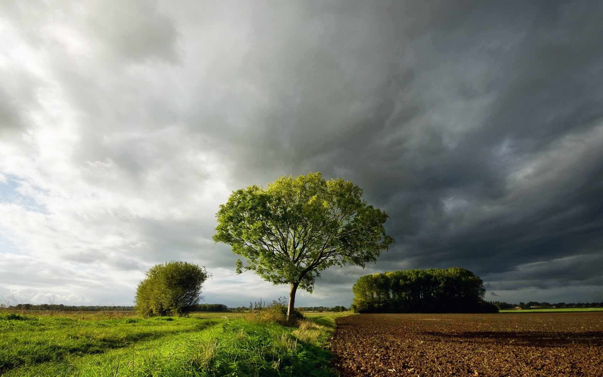 landschaft landschaft baum himmel natur ländlichen landschaft feld sturm gras sonnenuntergang im freien wolke landwirtschaft bewölkt sonne dämmerung bauernhof holz sommer bäume erde wolken