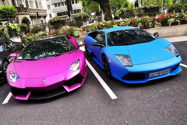 Two luxury Lamborghini pink and Blue