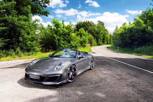 Car on asphalt road, trees around