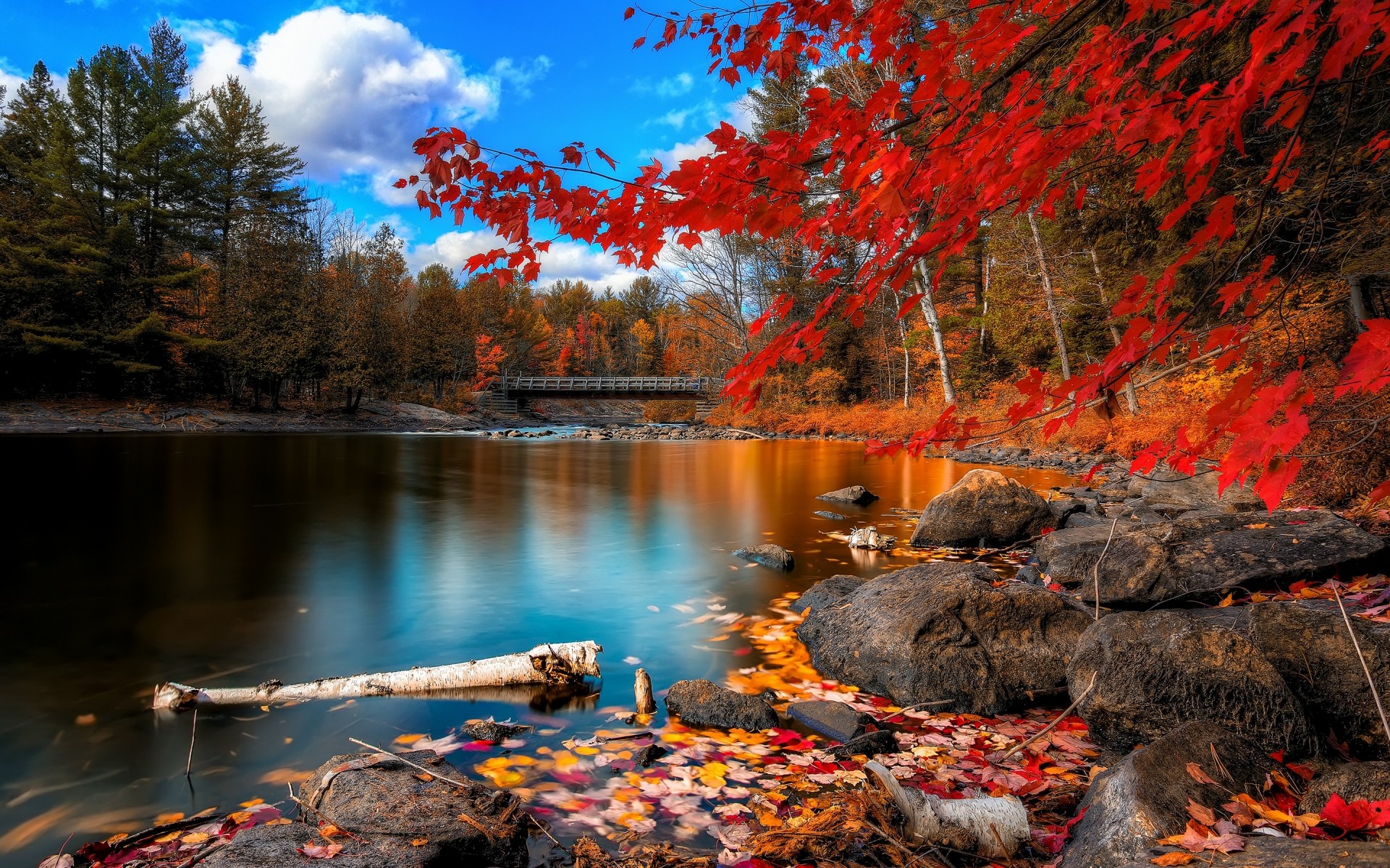 осень осень воды река пейзаж дерево на открытом воздухе природа лист путешествия древесины лес лес