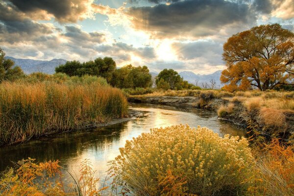 Hermoso paisaje de otoño con un estanque