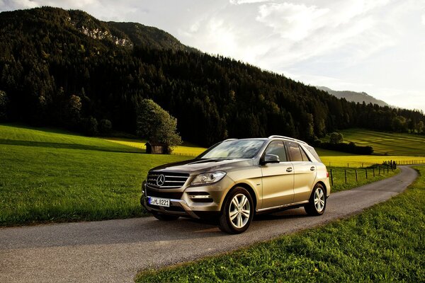 Reisender. Mercedes im ländlichen Outback