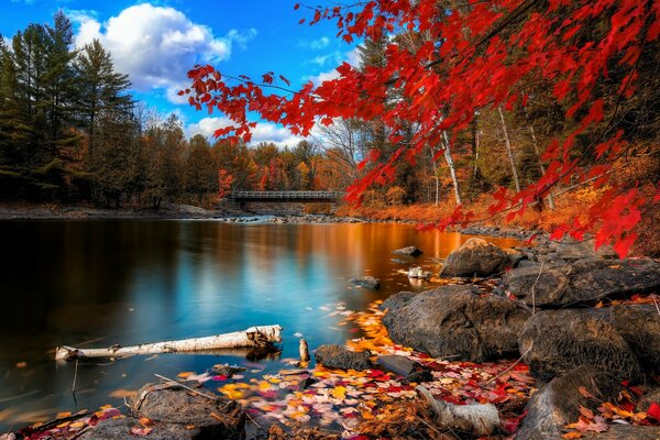 Herbstlandschaft mit einem schönen Fluss