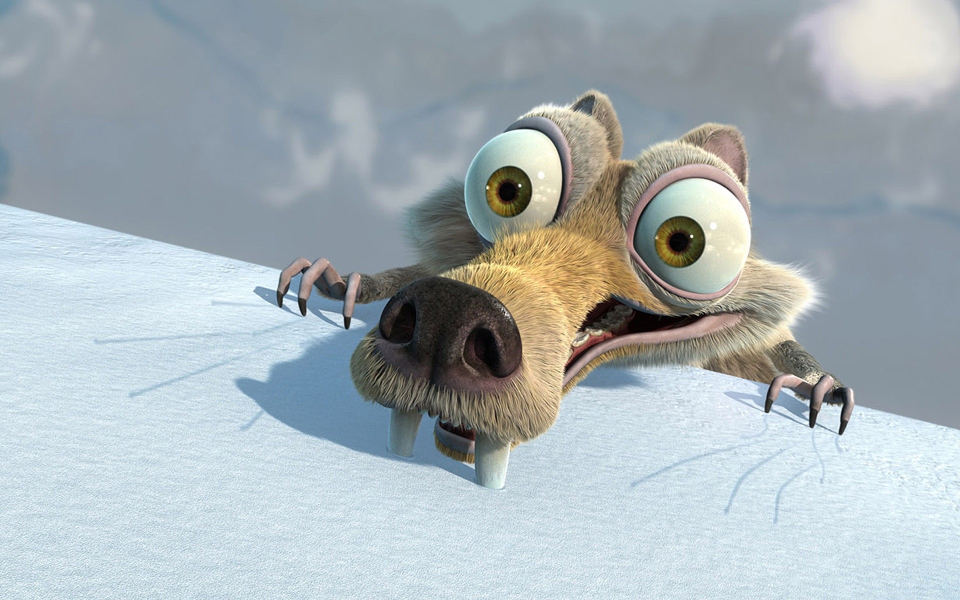 films neige hiver oiseau nature animal givré froid la faune animation pixar comédie aventure