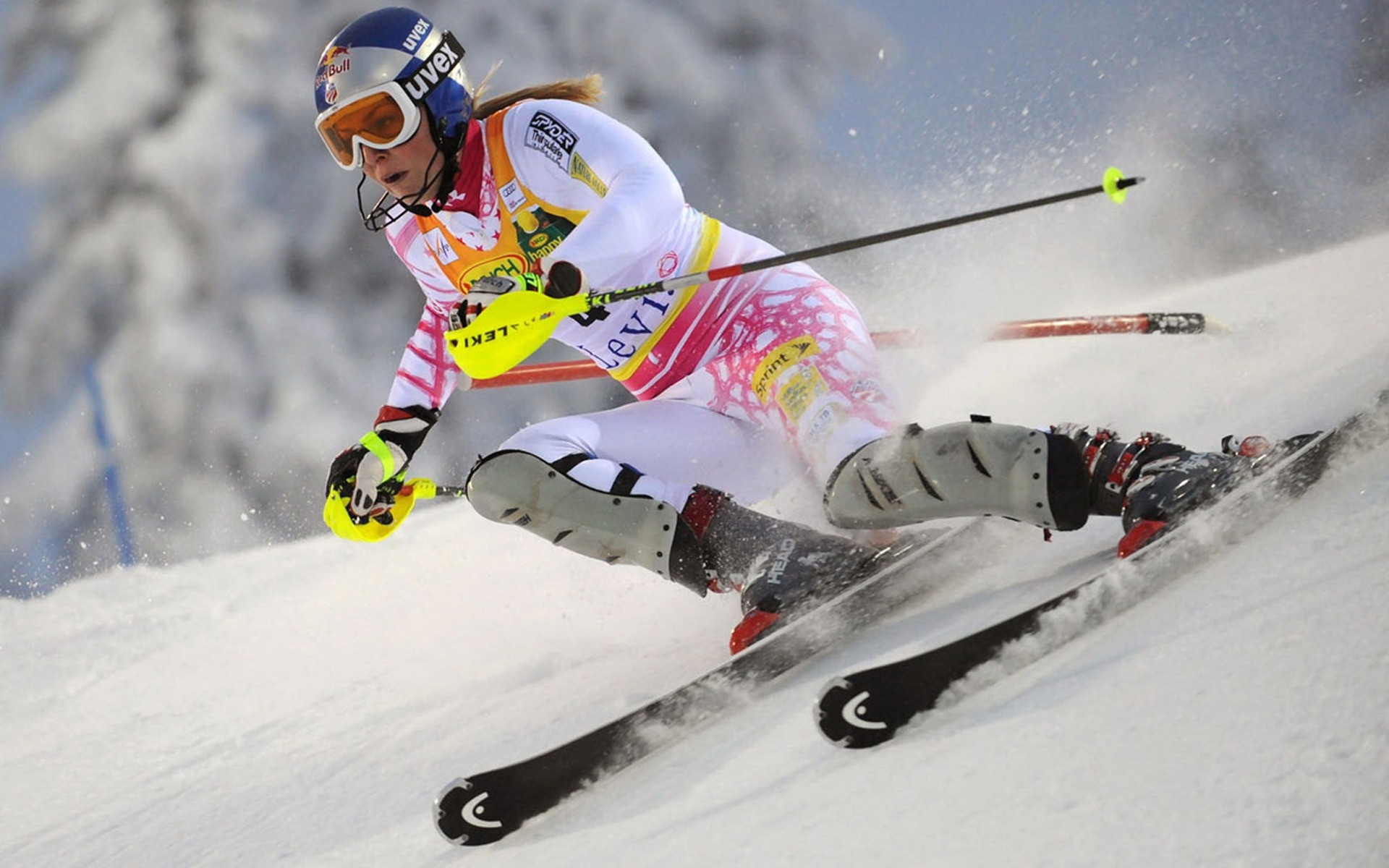 esqui neve esquiador inverno competição gelo ação corrida pressa óculos descida esporte lazer alpino frio resort américa eua alpes vermelho touro