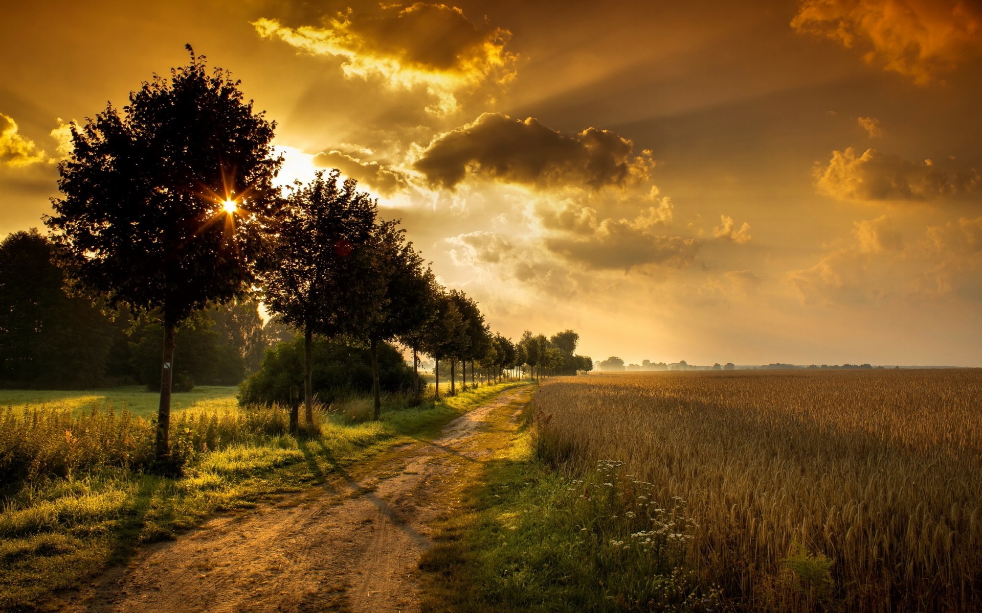 paisagens pôr do sol paisagem amanhecer sol natureza céu árvore campo noite rural ao ar livre outono bom tempo luz grama névoa campo crepúsculo ensolarado estrada terra cereais