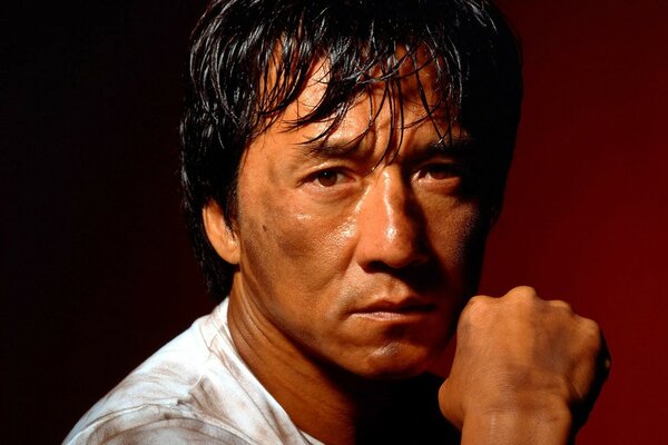 Jackie Chan, portrait of a kung fu fighter