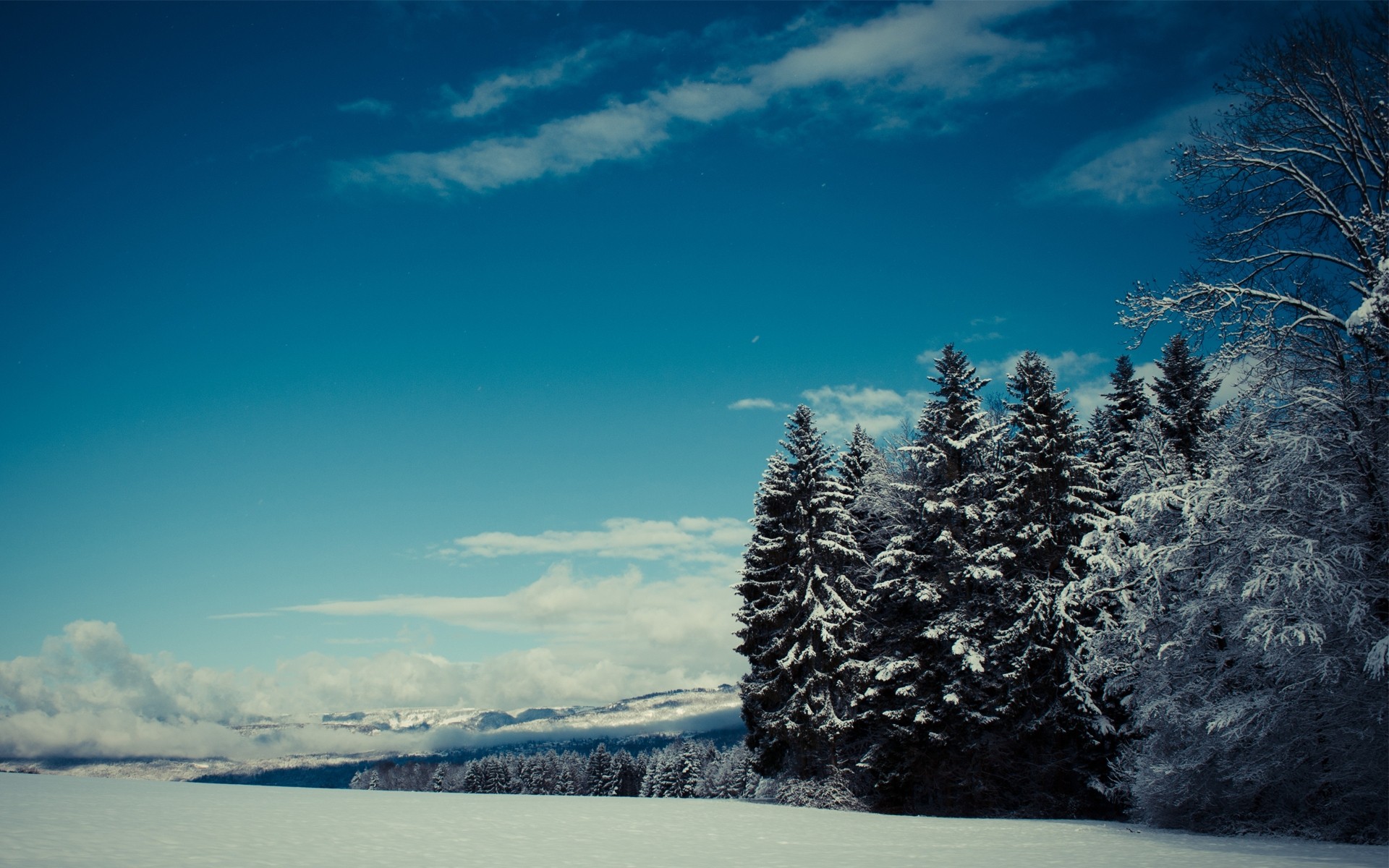 hiver neige paysage froid arbre gel glace ciel nature montagnes météo scénique congelé bois à l extérieur givré arbres collines montagnes