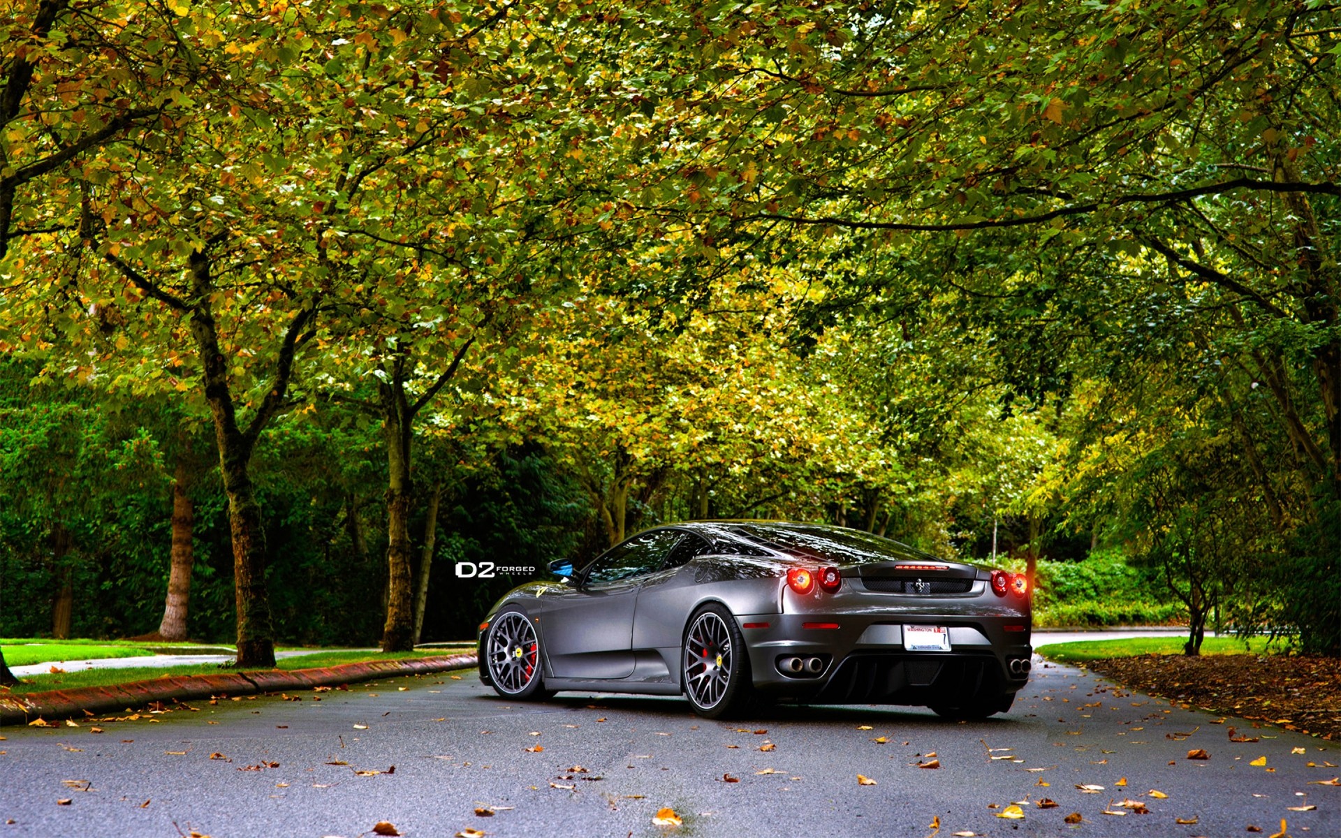 ferrari car road leaf pavement tree park landscape fall ferrari f430 ferrari f430 scuderia