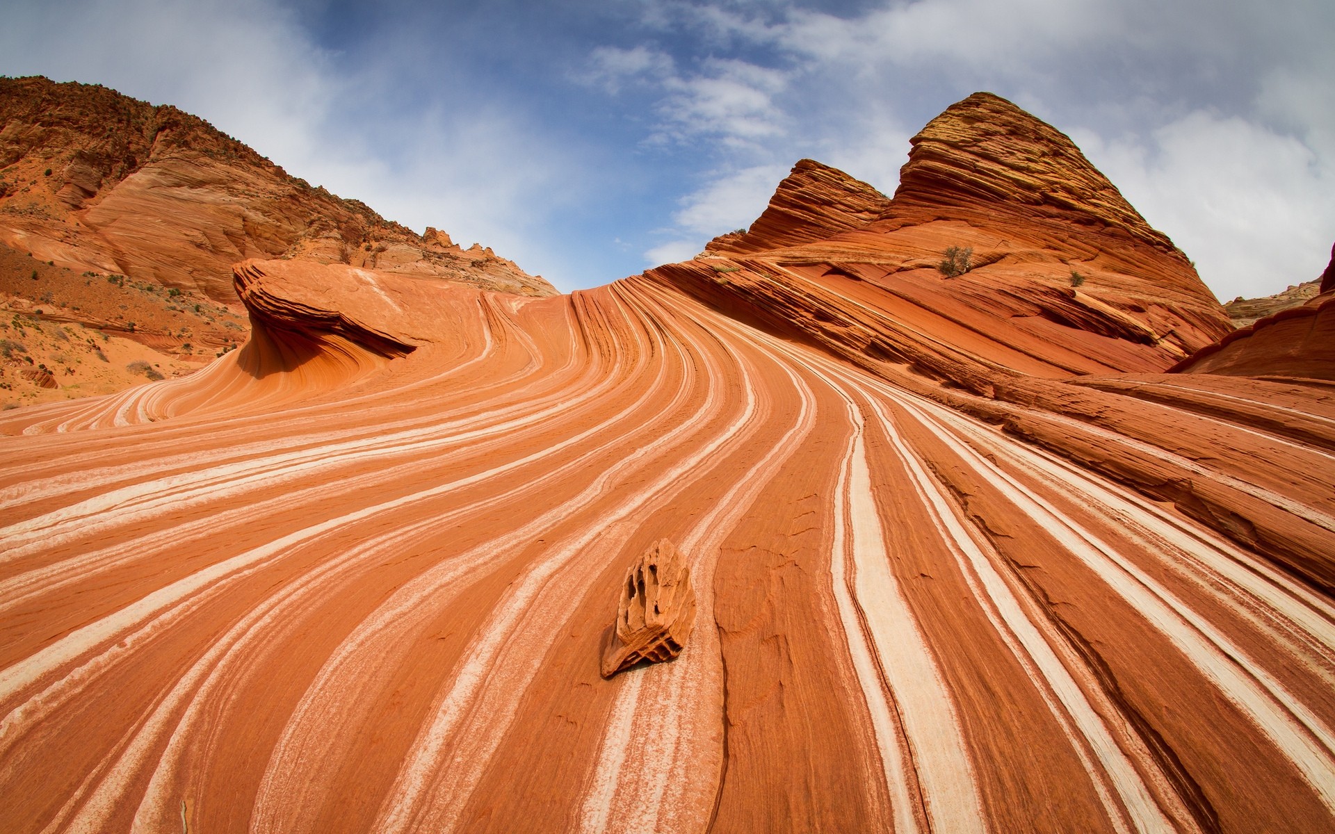 united states desert sandstone arid dry travel outdoors adventure sand sunset landscape barren geology scenic dawn nature trample surface canyon cliffs textures