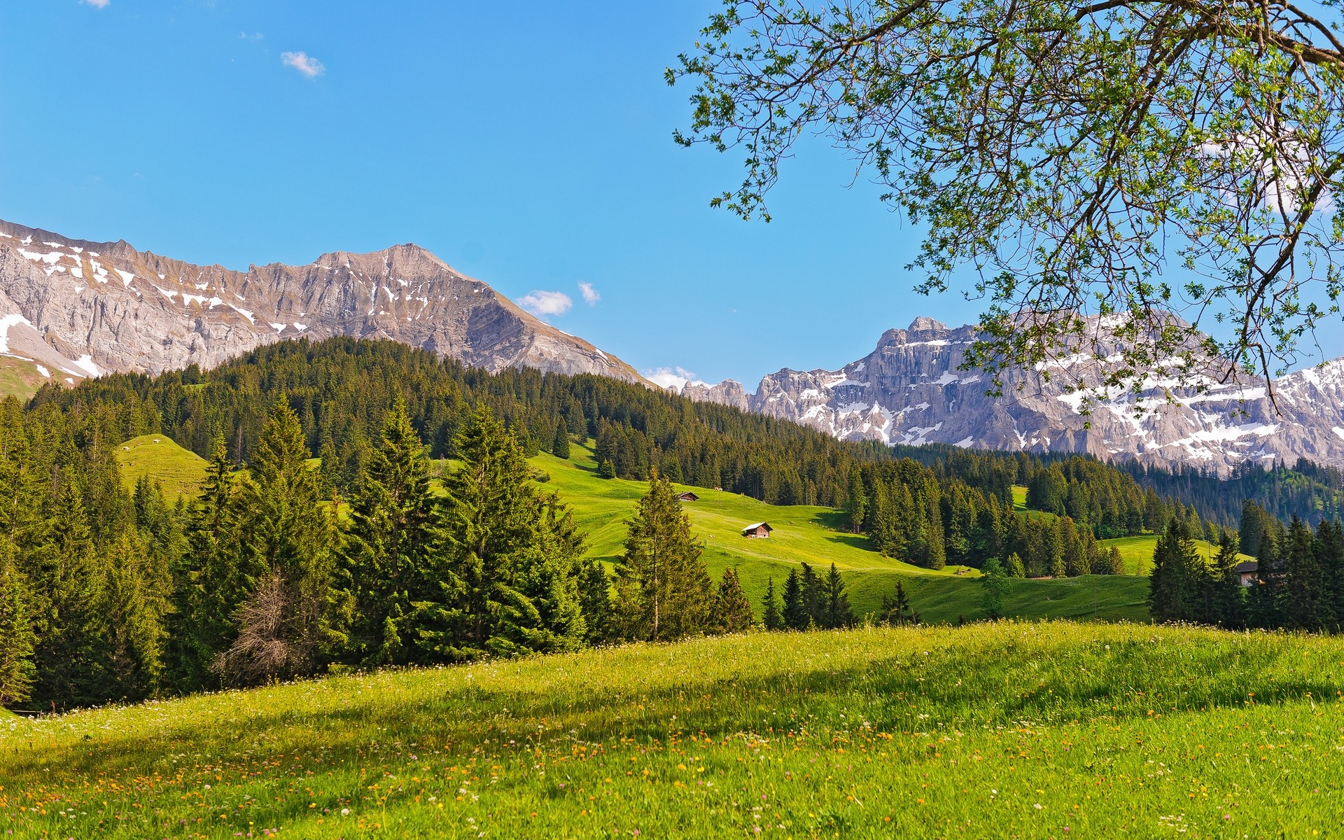 paisaje montaña paisaje árbol madera naturaleza escénico cielo al aire libre viajes colina valle verano espectáculo paisaje coníferas heno fondo colinas verdes nieve