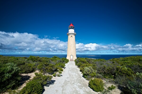 Grand voyageur australien pour les navires