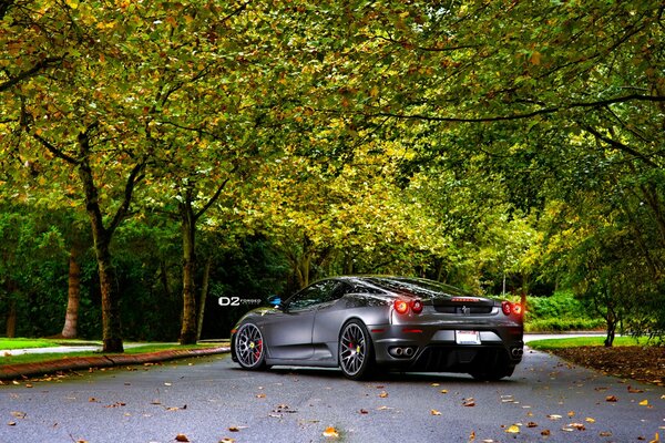 Ferrari car on the asphalt road of the park