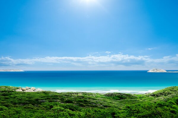 Beautiful sea view through the forest