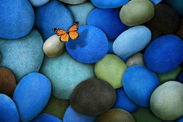 The butterfly landed on the multicolored stones