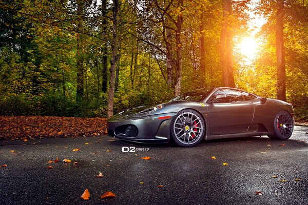 Coche Ferrari en el asfalto cubierto de hojas de otoño contra el bosque