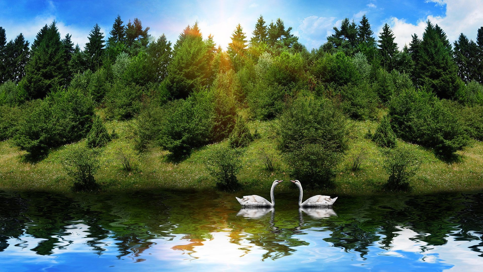 animals water lake river nature landscape tree wood park outdoors scenic summer travel beautiful leaf pool sky reflection fall mountain