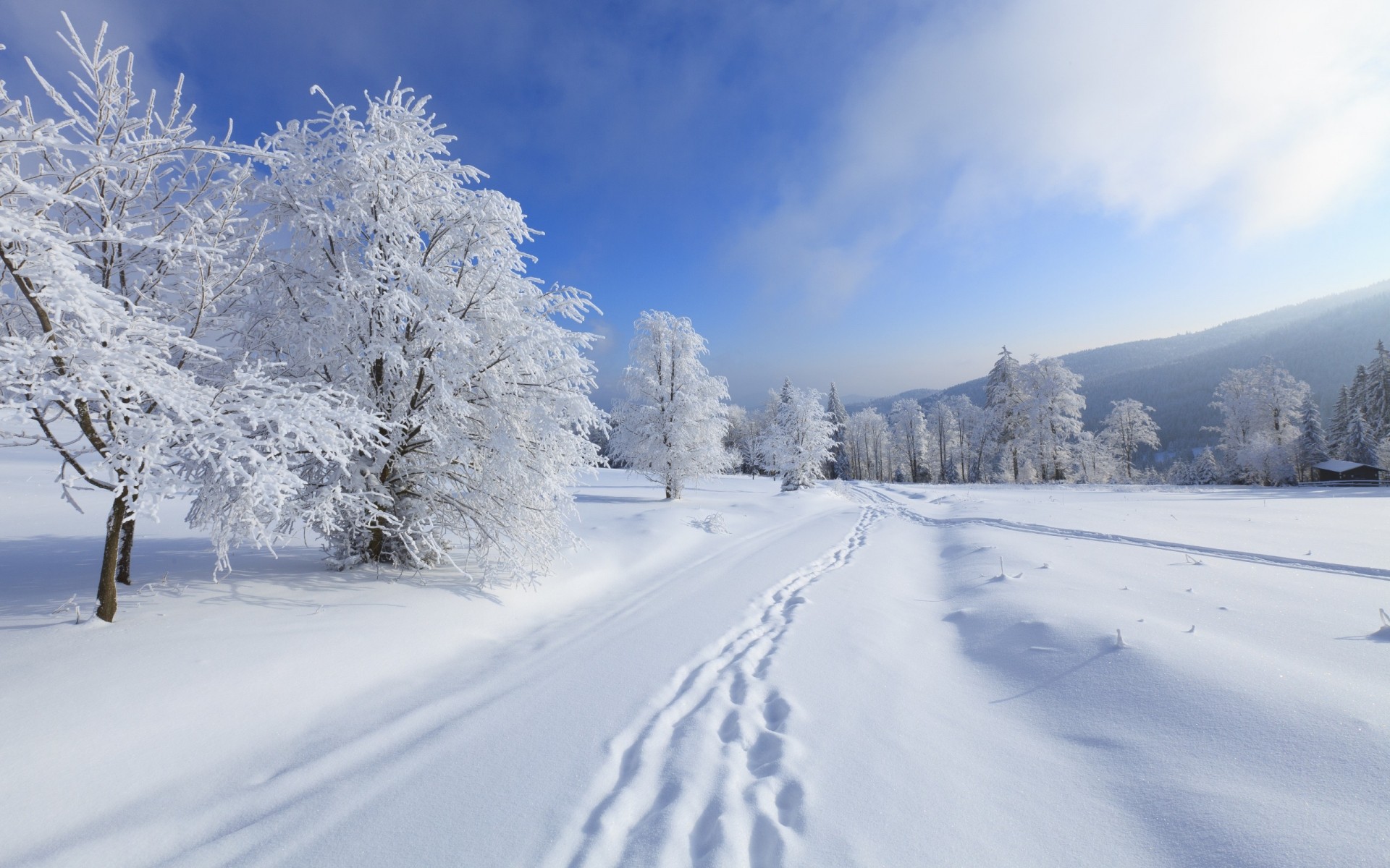 冬天 雪 冷 霜冻 冰冻 冰 雪 天气 木材 景观 风景 季节 霜冻 山 轨道 木材 粉 暴风雪 雪堆 白雪 雪景 背景