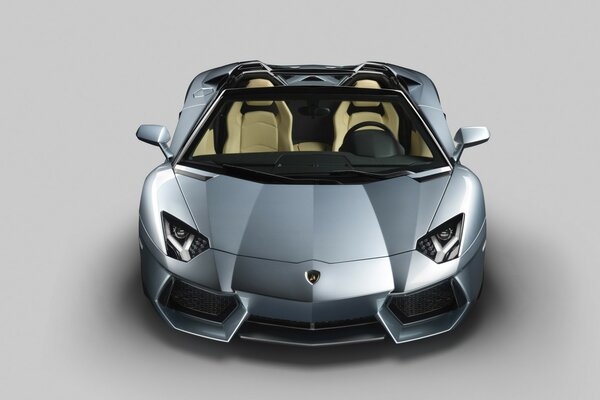 Voiture Lamborghini chic sans toit