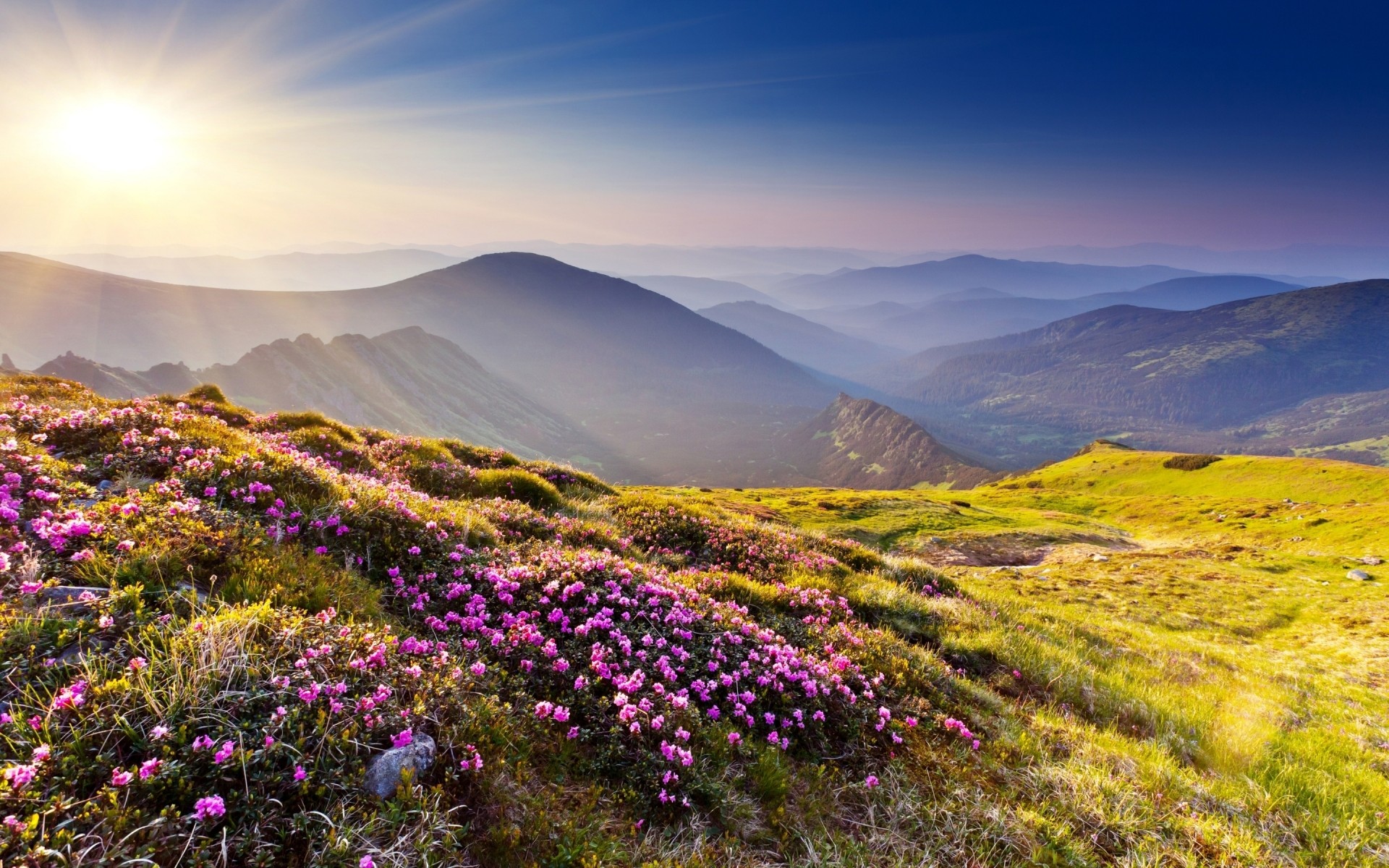 paysage paysage nature montagnes à l extérieur ciel voyage herbe pâturage fleur aube scénique coucher de soleil été foin champ fond photo photographie de paysage photo