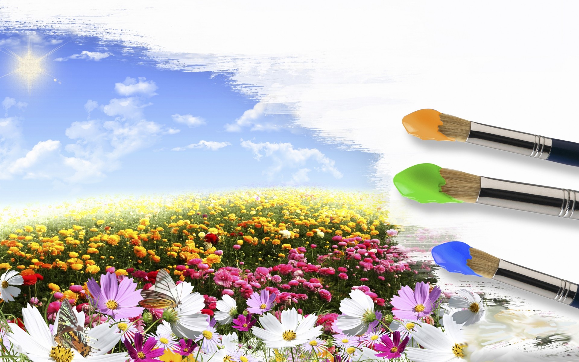 drawings nature bright flower summer growth outdoors grass fair weather sun paint flower land background