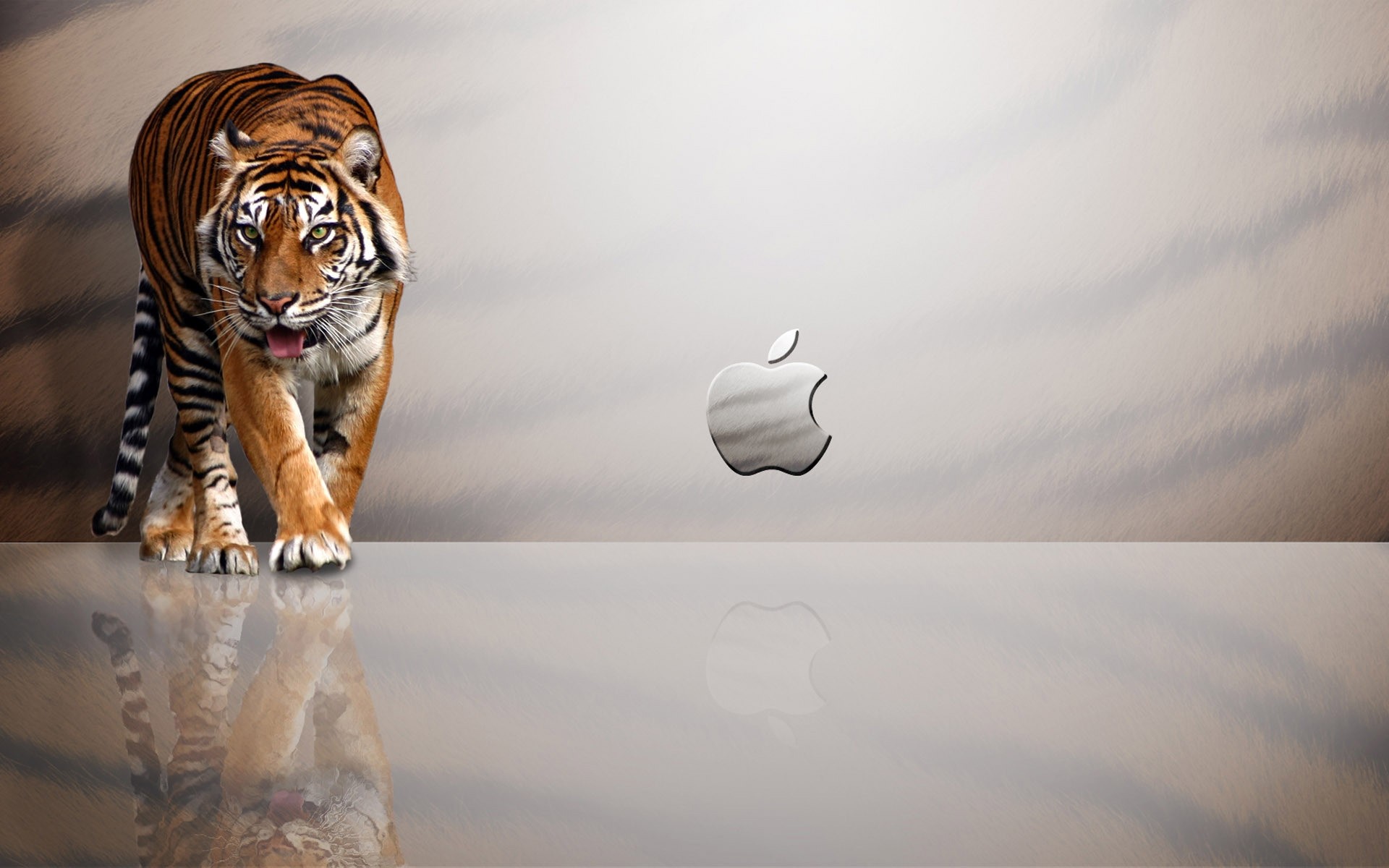 manzana mamífero retrato animal gato vida silvestre uno manzana silvestre manzana divertida fondo logotipo de apple logotipo de apple