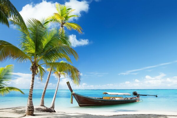 Tropischer Strand auf einer paradiesischen Insel